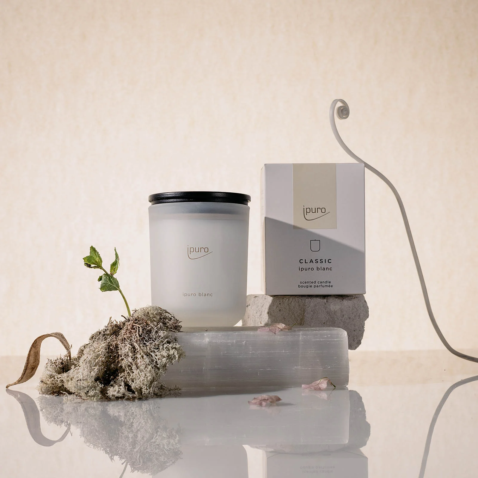 Duftkerze ipuro blanc - Image 3